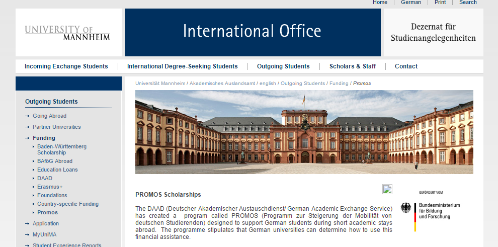 Mannheim business school semester dates