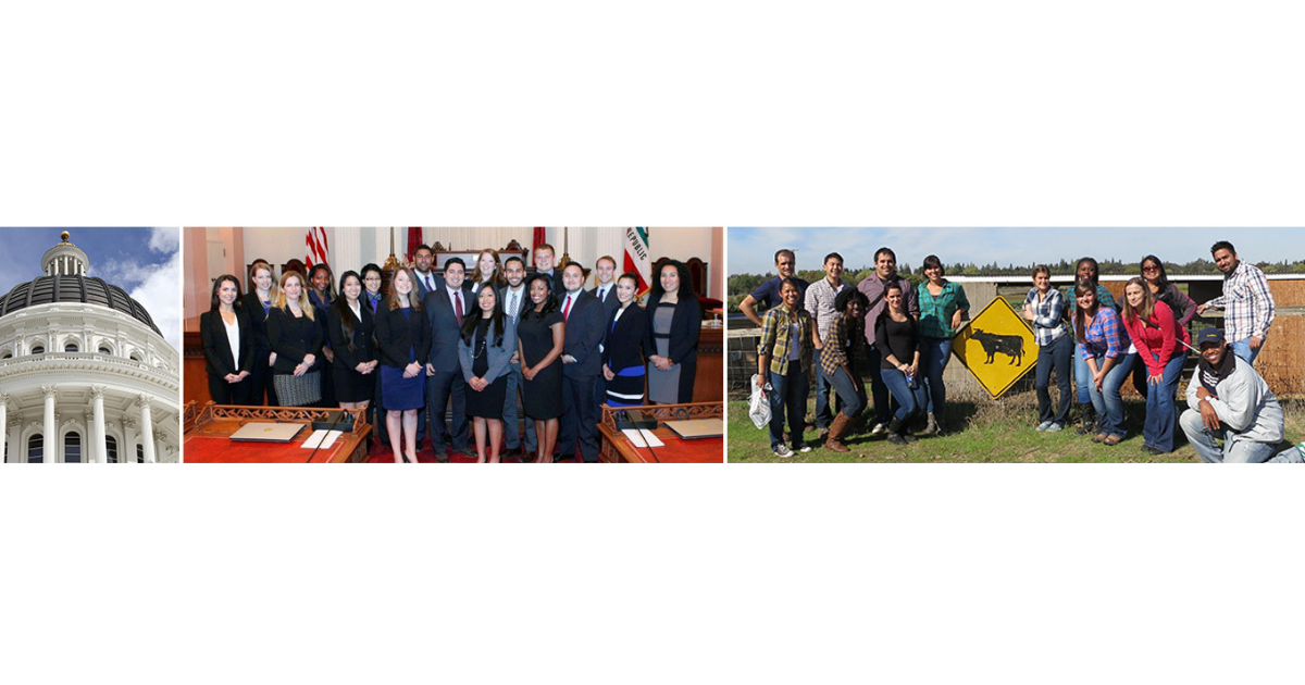 California Senate International Fellows Program 201920, USA