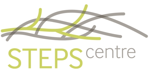STEPS Centre Logo