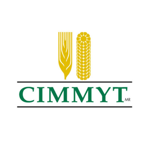 International Maize and Wheat Improvement Center (CIMMYT) Logo
