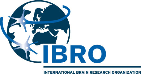 International Brain Research Organization Logo